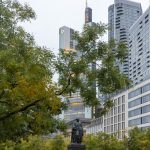 Wetter: Mildere Temperaturen in Hessen erwartet