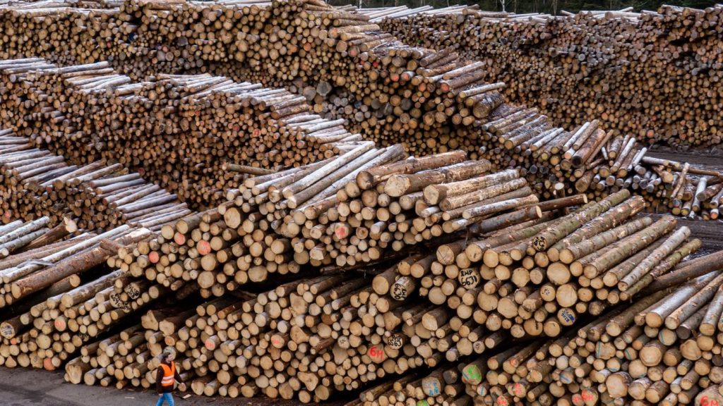 Holzimperium: Nach Ziegler-Insolvenz weiter Ermittlungen gegen Manager