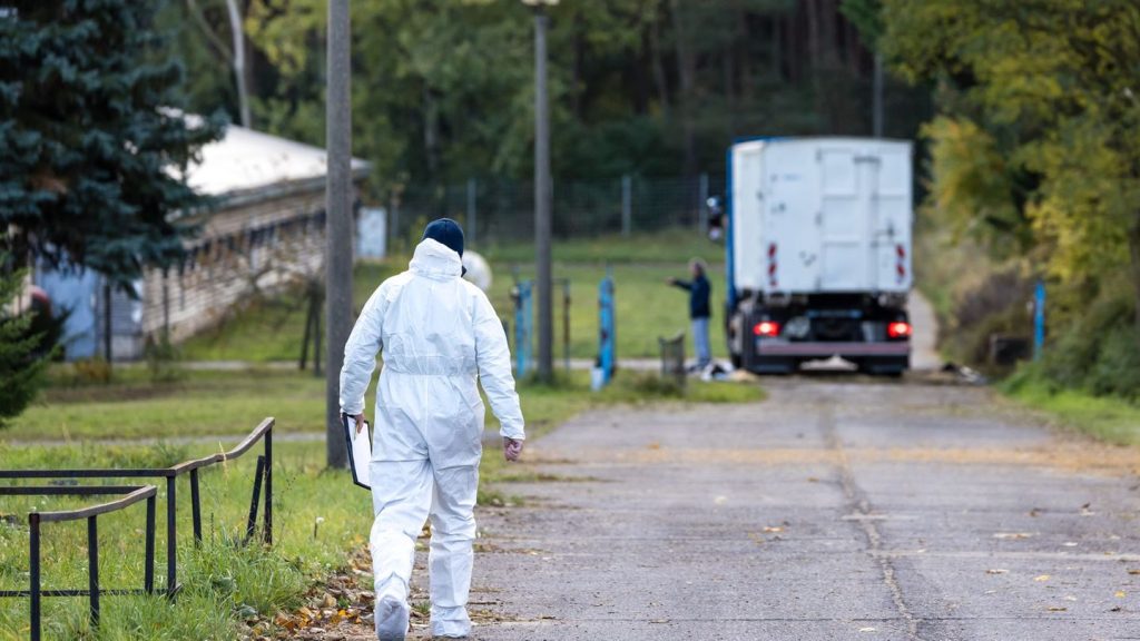 Tierseuche: Stallpflicht in mehreren Kreisen wegen Vogelgrippe