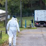 Tierseuche: Stallpflicht in mehreren Kreisen wegen Vogelgrippe