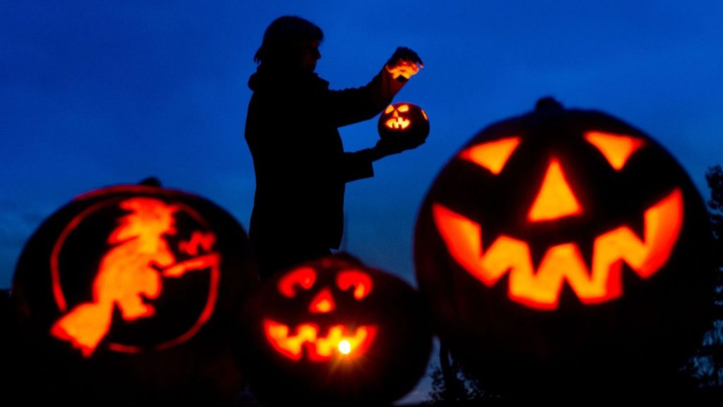 Freizeit: Halloween: Hundeschulen laden zu Gruselspaß und Rätseltouren