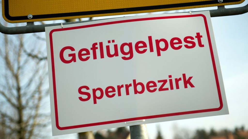 Tierseuche: Vogelgrippe-Verdachtsfälle in zahlreichen weiteren Regionen