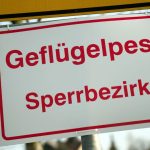 Tierseuche: Vogelgrippe-Verdachtsfälle in zahlreichen weiteren Regionen