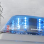 Havarie eines Windrades: Flügel und Kopf von Windkraftanlage fallen ab