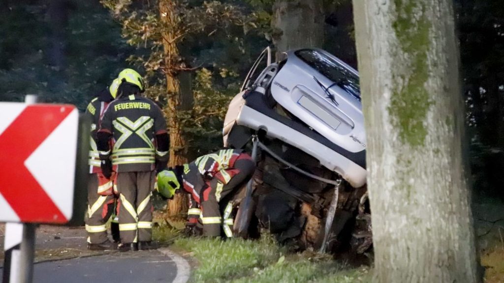Unfallstatistik: Weniger tödliche Unfälle an Straßenbäumen in Brandenburg