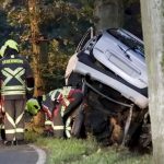 Unfallstatistik: Weniger tödliche Unfälle an Straßenbäumen in Brandenburg