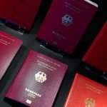 Unionspolitiker stellen doppelte Staatsbürgerschaft in Frage