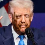 AfD-Antrag gescheitert: Kreistag Bad Dürkheim gegen Ehrenbürgerschaft für Trump