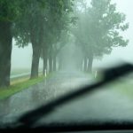 Unfallstatistik: Weniger tödliche Unfälle an Straßenbäumen in Sachsen-Anhalt