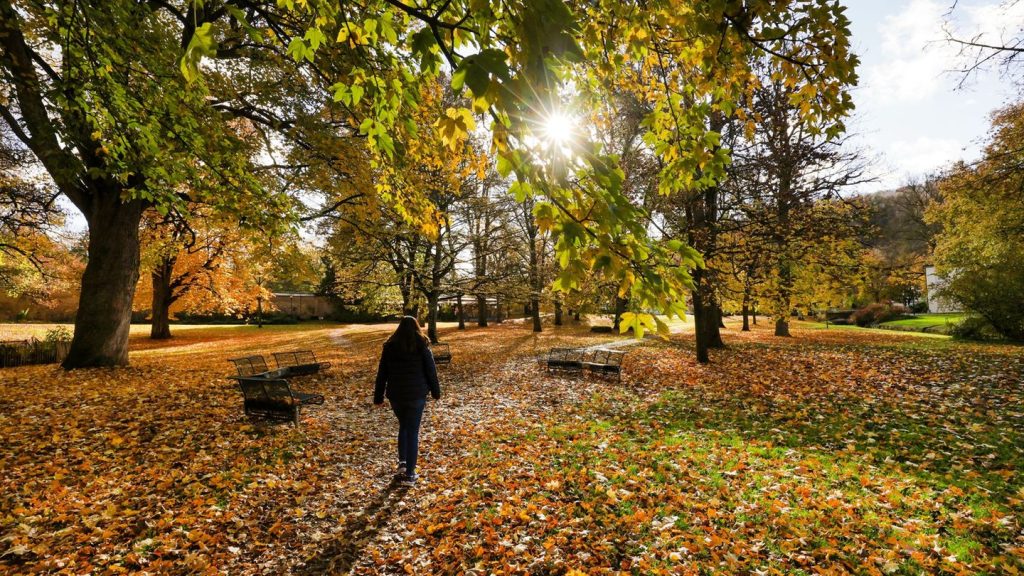 Wettervorhersage: Freundlicher Mittwoch – Regen erst in der Nacht erwartet