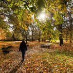 Wettervorhersage: Freundlicher Mittwoch – Regen erst in der Nacht erwartet