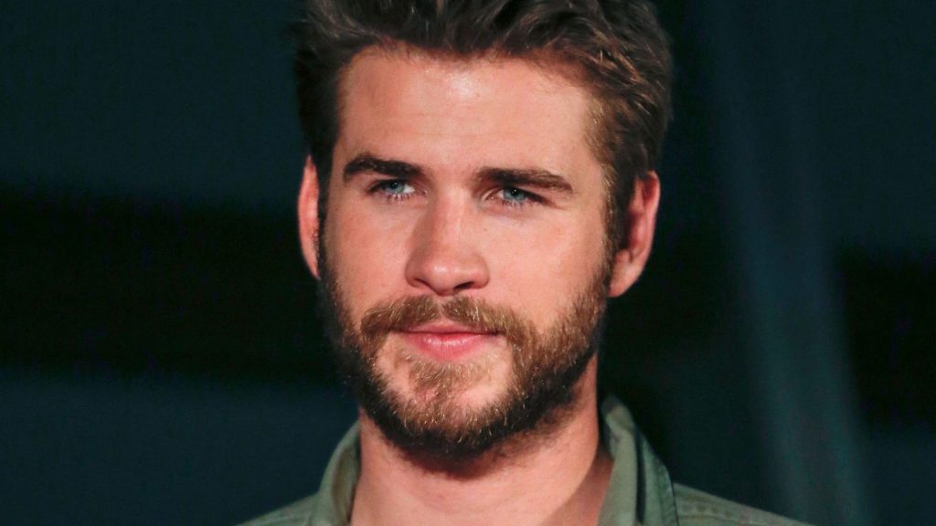 Leute: Liam Hemsworth hat sich ohne "großen Plan" verlobt