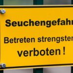 Geflügelpest: Vogelgrippe: Strengere Regeln für Ausstellungen und Zukauf