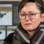 Vogelgrippe in Brandenburg: 2.500 tote Kraniche rund um Linum befürchtet