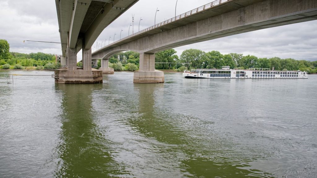 Umweltschutz: Pilotstudie untersucht Artenvielfalt im Rhein