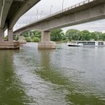 Umweltschutz: Pilotstudie untersucht Artenvielfalt im Rhein