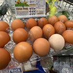 Haushaltsstreit: Shutdown: Amerikaner können doch auf Lebensmittelgeld hoffen