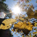 Wetter: Oktober verabschiedet sich mit milden 19 Grad