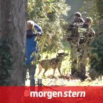 morgenstern: Wird Deutschlands mysteriösester Vermisstenfall aufgeklärt?