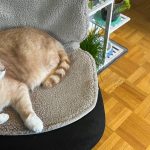 Big Hug³: Stoov-Heizdecke im Test: Überzeugt die kabellose Wärmeauflage für Stühle?