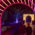 Events in Rheinland-Pfalz: Wo Lichterfeste die dunklen Tage zum Leuchten bringen