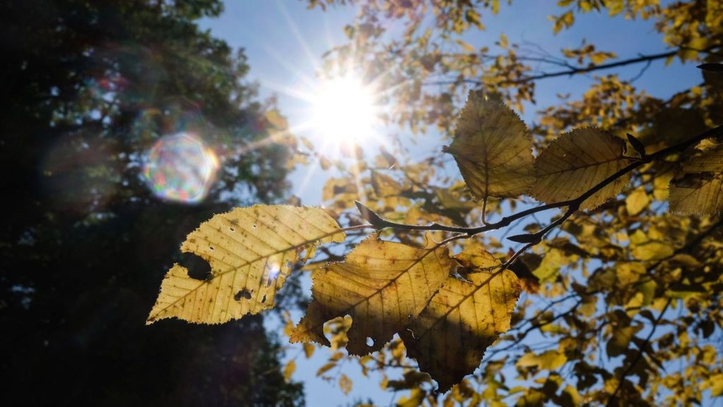 Wetter: Allerheiligen startet mild – später folgen Regen und Sturm