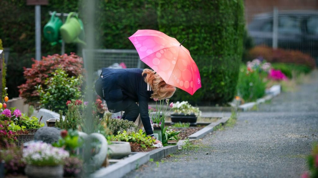 Wetter: Regenschirm, Sonne-Comeback, Nebel: So wird das Wetter