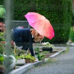 Wetter: Regenschirm, Sonne-Comeback, Nebel: So wird das Wetter