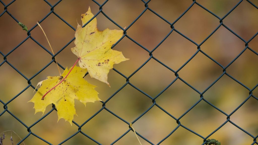 Wetterausblick zum Wochenstart: Hoch bringt nach Regen wieder Sonne nach Baden-Württemberg
