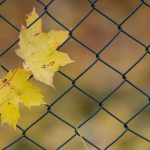 Wetterausblick zum Wochenstart: Hoch bringt nach Regen wieder Sonne nach Baden-Württemberg