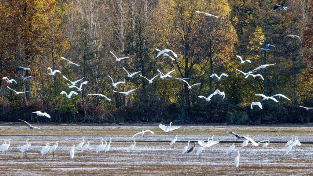 Wetteraussichten: Wechselhaftes Wetter in Berlin und Brandenburg erwartet
