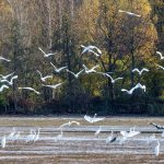 Wetteraussichten: Wechselhaftes Wetter in Berlin und Brandenburg erwartet