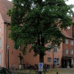 Kunst: Bremer Overbeck-Museum erbt mehr als 200 Werke