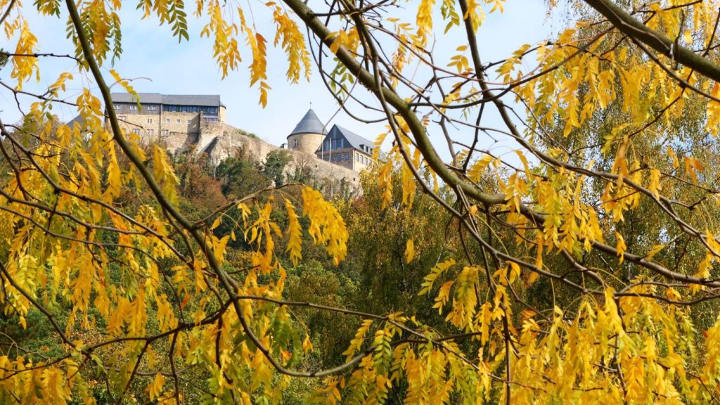 Wetter-Vorhersage: Mild und zunehmend sonnig - bis 17 Grad möglich