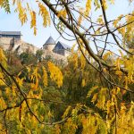 Wetter-Vorhersage: Mild und zunehmend sonnig - bis 17 Grad möglich