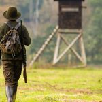 Jagdbericht: Jäger schießen mehr Waschbären, Nutrias und Gänse