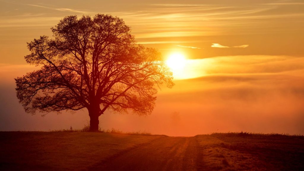 Herbstwetter: Nebel legt sich übers Land - aber auch Sonne möglich
