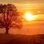 Herbstwetter: Nebel legt sich übers Land - aber auch Sonne möglich