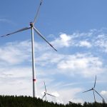 Windenergie und Umwelt: Neuere Studien widerlegen AfD-Zahlen zu Windrad-Abrieb