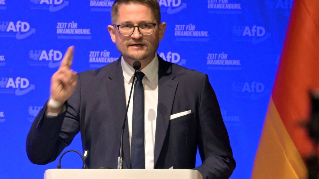 AfD-Landesparteitag: AfD-Landeschef peilt absolute Mehrheit in Brandenburg an
