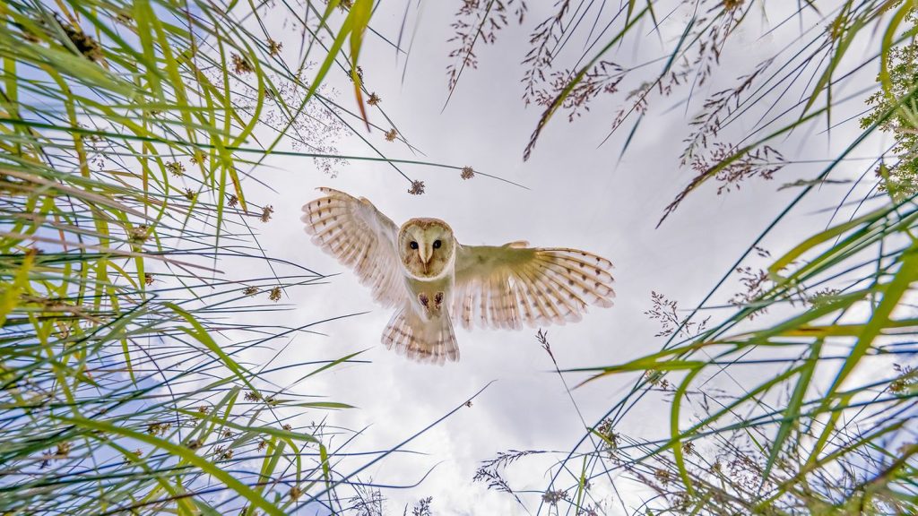Preisgekrönte Fotografie: Diese Bilder feiern die Schönheit unserer Erde