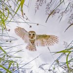 Preisgekrönte Fotografie: Diese Bilder feiern die Schönheit unserer Erde